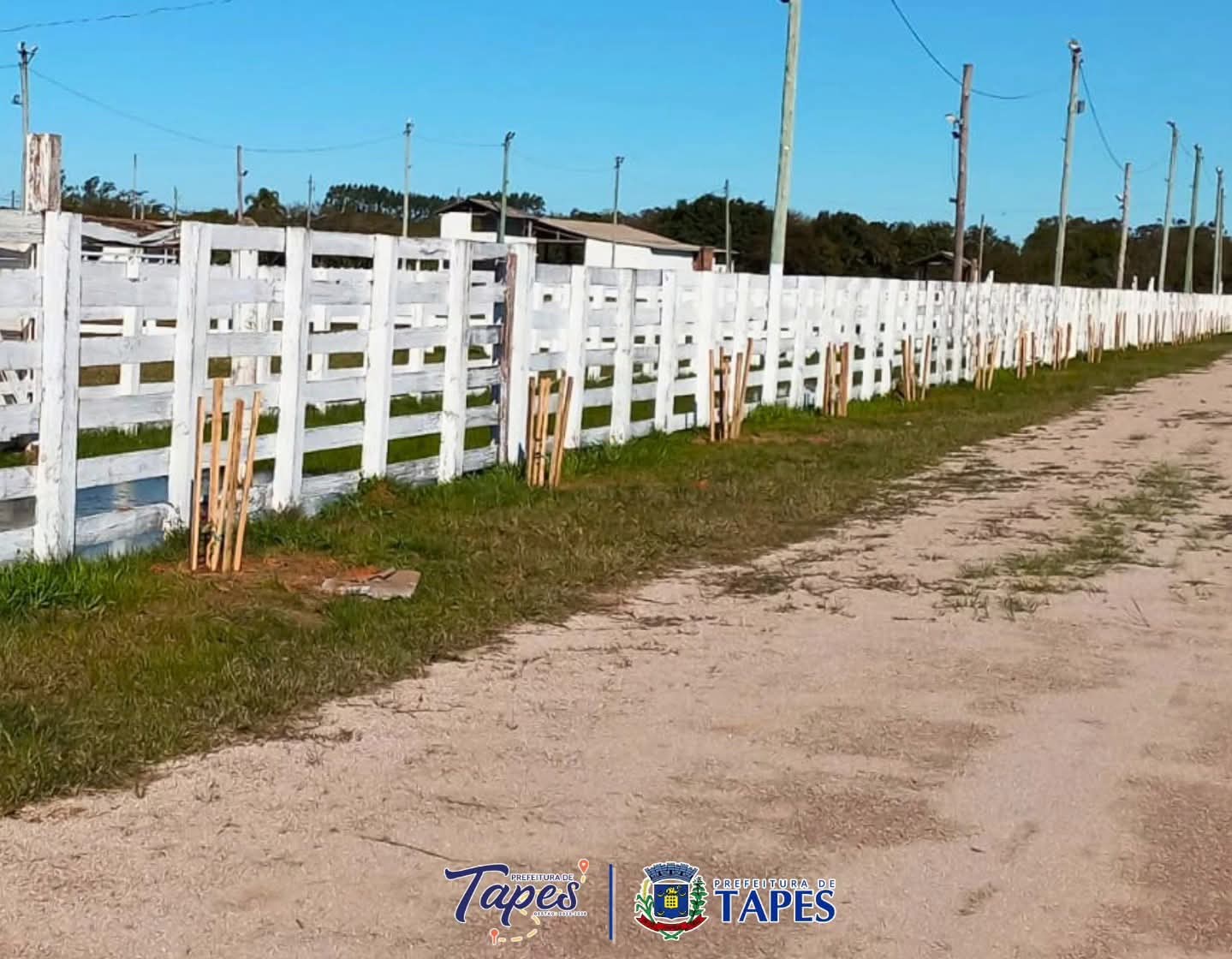 PARQUE MUNICIPAL DE EVENTOS RECEBE PLANTIO DE 150 MUDAS DE ÁRVORES